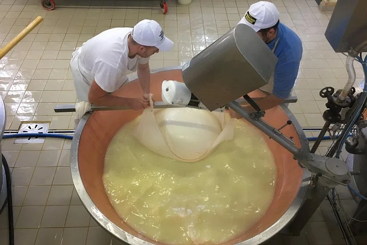 Two cheesemakers in white caps lifting a mass of curd in a cloth from a copper vat